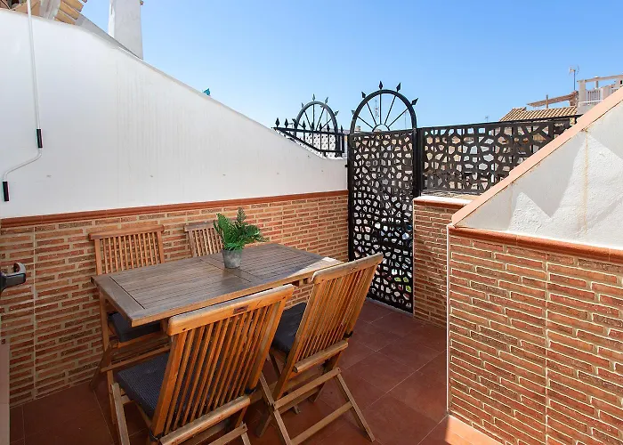 Girasoles Iii F3 * トレビエハ